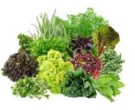 B9 B9 vitamines pour le cerveau