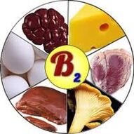 Vitamines B2 B2 pour le cerveau